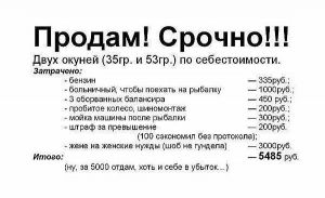   (z0Kp74kQj8U.jpg, 43.31 Kb, 782 )