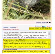   (Kozandrevna      .jpg, 83.39 Kb, 727 )