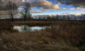   (8ad01247e1a1[1].jpg, 0 Bytes, 933 )
