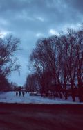   (img435.jpg, 0 Bytes, 1269 )