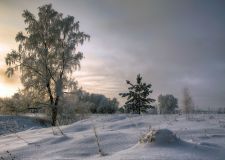   (DSC_0062_237_3_238_4_239_tonemappeoopyud.jpg, 329.1 Kb, 459 )