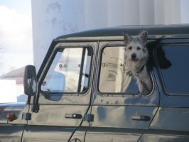   (IMG_4025.JPG, 0 Bytes, 858 )