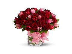   (0_70a3d_64706169_XL.jpg, 46.04 Kb, 644 )