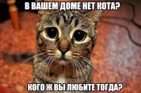   (ioyinL5spy8.jpg, 69.41 Kb, 658 )
