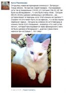   (2013-03-10 10_34_56.png, 204.34 Kb, 468 )