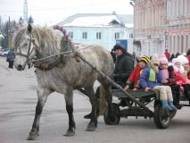   (getImage.jpg, 71.51 Kb, 870 )