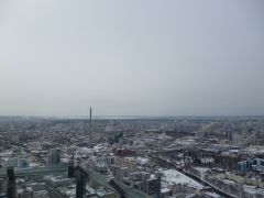   (P1040393.JPG, 0 Bytes, 881 )