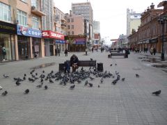   (P1040457.JPG, 0 Bytes, 568 )