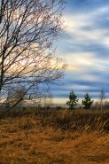   (101-01.jpg, 0 Bytes, 543 )