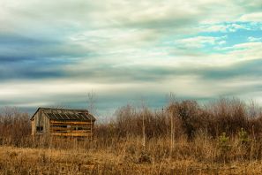   (103-01.jpg, 0 Bytes, 877 )
