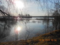   (DSCN1569.jpg, 610.63 Kb, 509 )