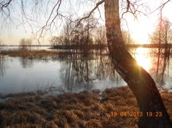   (DSCN1589.jpg, 673.16 Kb, 514 )