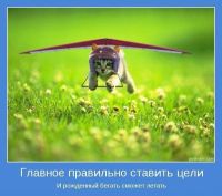   (1276533782_normal_1__109_1489788.jpg, 196.4 Kb, 330 )