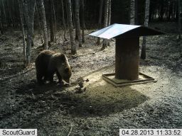  (28.04.2013a. 1..jpg, 0 Bytes, 378 )