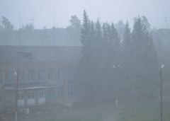   (DSC00386.jpg, 0 Bytes, 1130 )