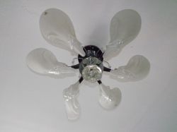   (DSCF0975.JPG, 99.44 Kb, 835 )