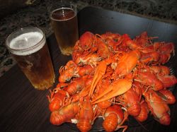   (IMG_1444.JPG, 201.96 Kb, 589 )