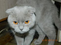   (DSCN4391.JPG, 152.57 Kb, 632 )