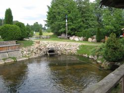   (IMG_4603.JPG, 271.99 Kb, 664 )