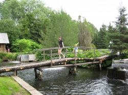   (IMG_4635.JPG, 291.93 Kb, 656 )