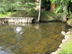   (IMG_4590.JPG, 258.35 Kb, 631 )