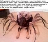   (BMayIYHCMAAtcJb.jpg, 52.14 Kb, 566 )