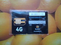   (DSC00017.JPG, 158.86 Kb, 983 )