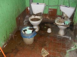   (SDC11328.JPG, 192.49 Kb, 351 )