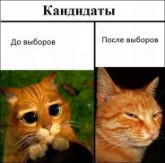   (comics-20102012-20.jpg, 66.58 Kb, 1117 )