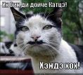   (MWGQa.jpg, 17.89 Kb, 717 )