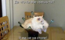   (15.jpg, 26.95 Kb, 689 )
