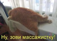   (25.jpg, 53.72 Kb, 674 )