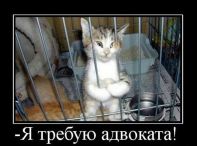   (26.jpg, 62.18 Kb, 500 )