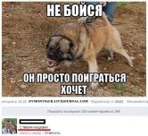   (1111.jpg, 74.12 Kb, 702 )