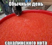   (43.jpg, 93.12 Kb, 683 )