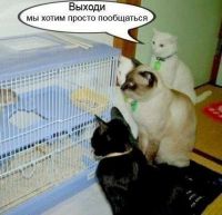  (44.jpg, 79.29 Kb, 685 )