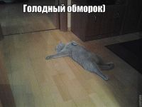   (52.jpg, 63.85 Kb, 512 )