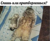   (55.jpg, 80.96 Kb, 696 )
