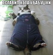   (57.jpg, 43.92 Kb, 683 )