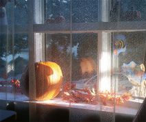   (1107559.jpg, 141.92 Kb, 587 )