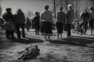   (DSC_0039_155t6.jpg, 186.69 Kb, 870 )