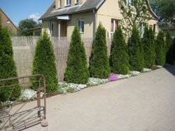   (IMG_5255ext.jpg, 273.06 Kb, 325 )