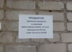   (IMG_20140714_094431.jpg, 126.64 Kb, 1069 )