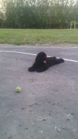   (IMG_20140716_204857.jpg, 127.11 Kb, 625 )