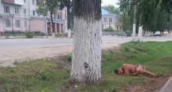   (CAM00904-1-1.jpg, 186.89 Kb, 819 )