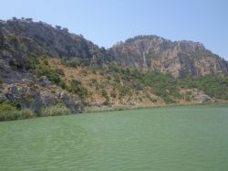   (DSC02683.JPG, 165.56 Kb, 711 )