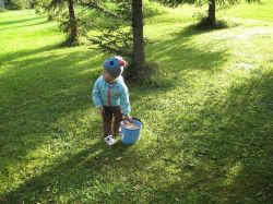   (IMG_5367ext.jpg, 397.11 Kb, 265 )