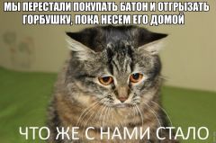   (---------818673.jpeg, 126.88 Kb, 1300 )