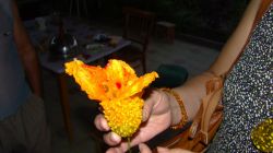   (DSC06258.JPG, 123.2 Kb, 555 )