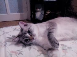   (IMG_20141007_215521.jpg, 133.14 Kb, 593 )